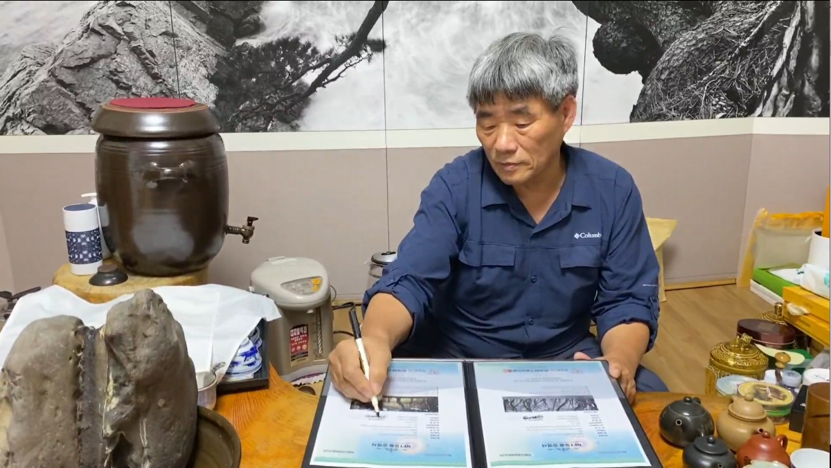 소나무 四季 연작 시리즈_겨울이 비치다